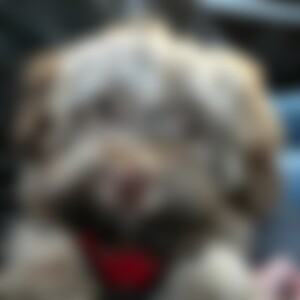 SanfterEinzelgaenger (39) aus Mönchengladbach