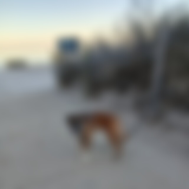 Mare63 (62) aus Berlin