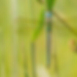 Sophie74 (51) aus Xxxxx