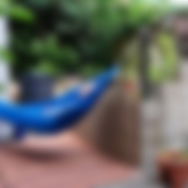 Dieachimshow (54) aus Linnich