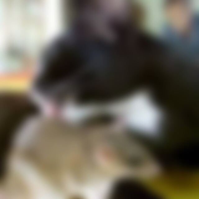 Jutti (53) aus Bi