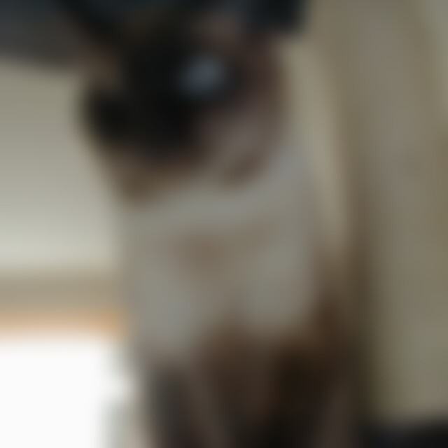 dogycat (55) aus Leverkusen