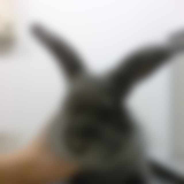 puschelfienchen (55) aus Mannheim