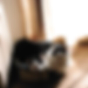 Blume3 (61) aus xxxx
