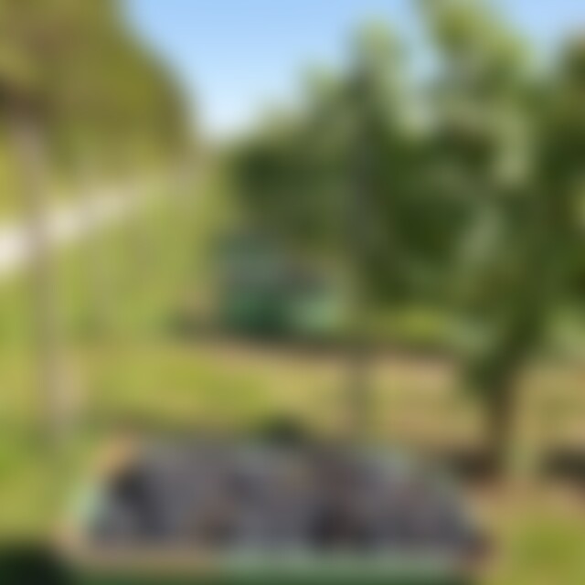 cendarella (69) aus Berlin