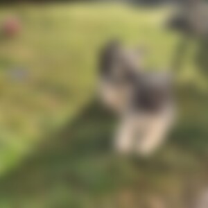Lilian (55) aus Chieming