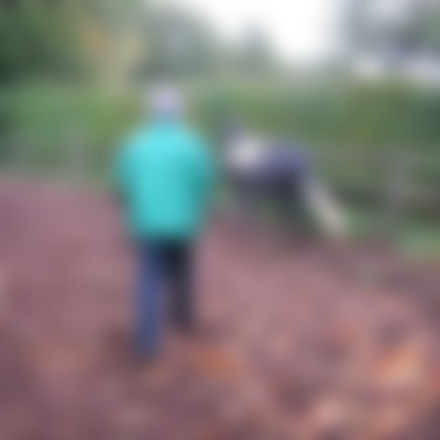 LueneburgerHeide (60) aus Lüneburger Heide