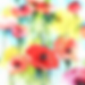 sophi1 (73) aus Dtl.