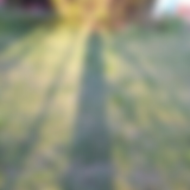 Lionheart68 (58) aus In der grünen Heide